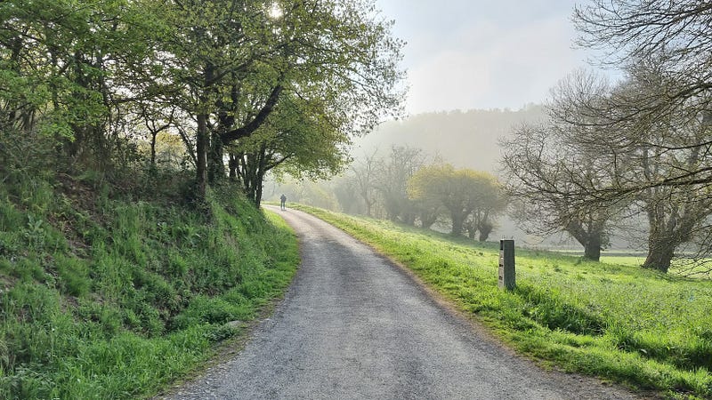 Scenic view along the Camino trail