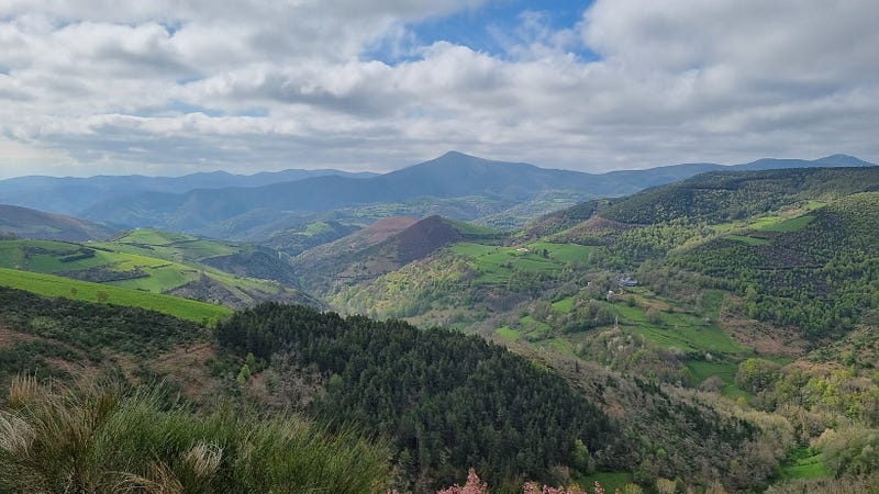 A scenic path leading up to a breathtaking view