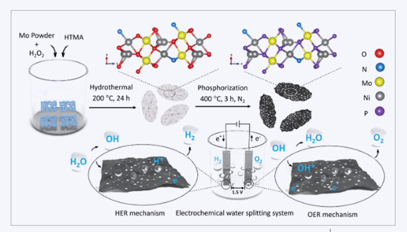 Illustration of the electrochemical seawater splitting process