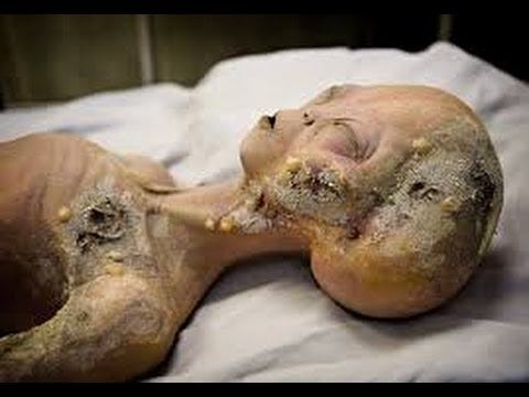 Dead Alien discovered in 1978