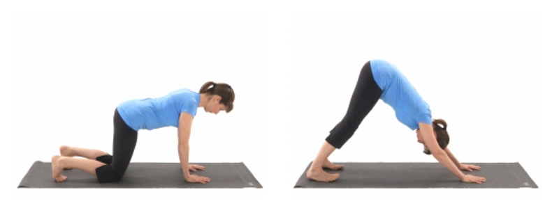 Demonstration of Quadruped to Downward Dog exercise