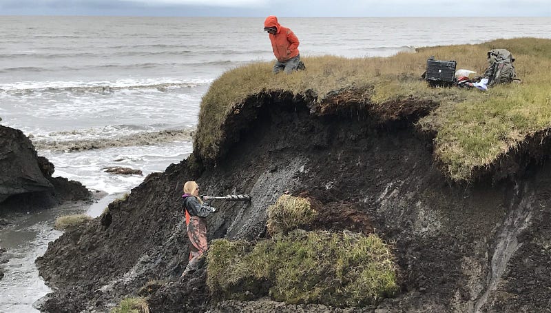 Researcher analyzing soil samples in Alaska