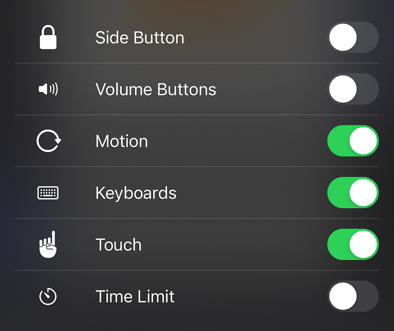 Screenshot of Guided Access options