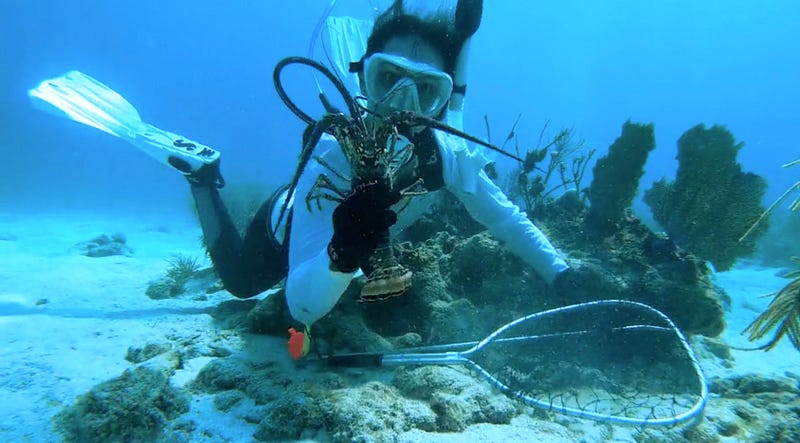 Enjoying underwater adventures with Airbuddy