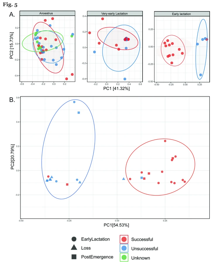 Graph illustrating microbial differences in koala pouches