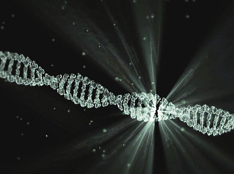 Genetic Recombination and Y Chromosome