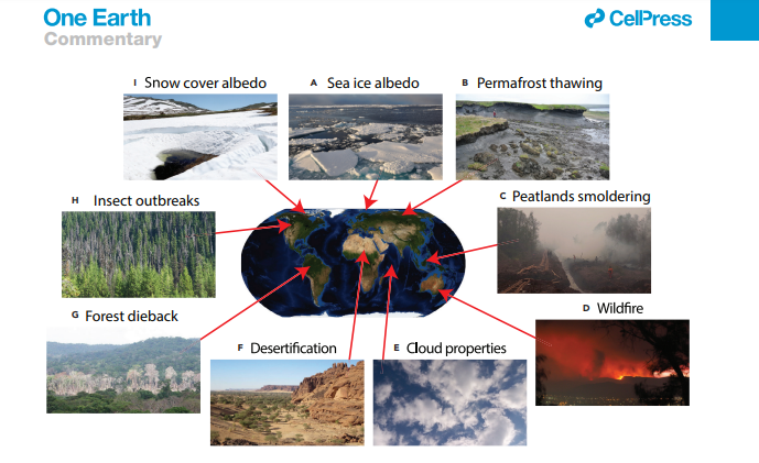 Feedback loops contributing to climate change