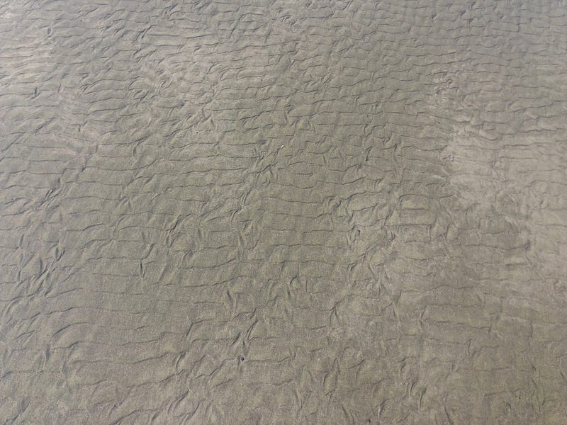 Ocean fractals at low tide.