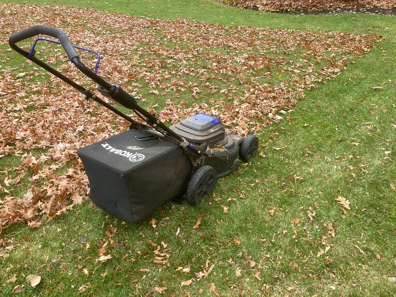 The author collects leaves with a powerful battery-powered mower.