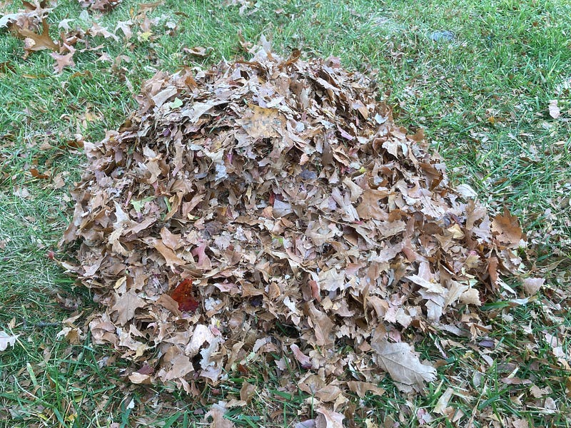 My leaf piles shrink significantly after each mulching session.