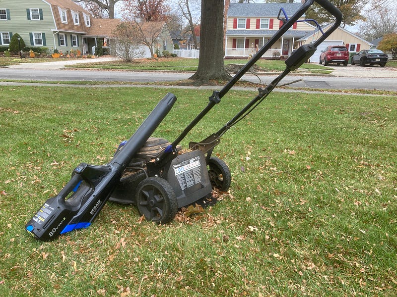 My electric mower is put to work in the fall.