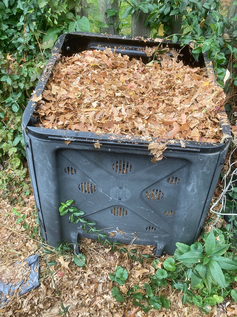 My leaf compost bin.